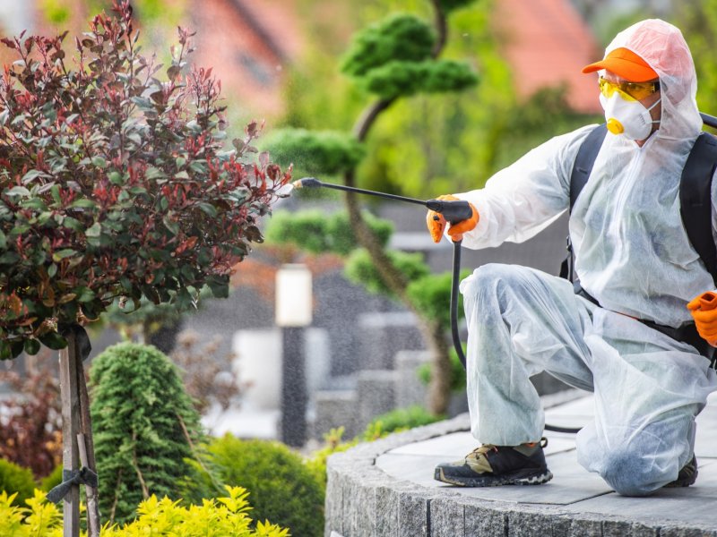 Seydikemer Haşere İlaçlama